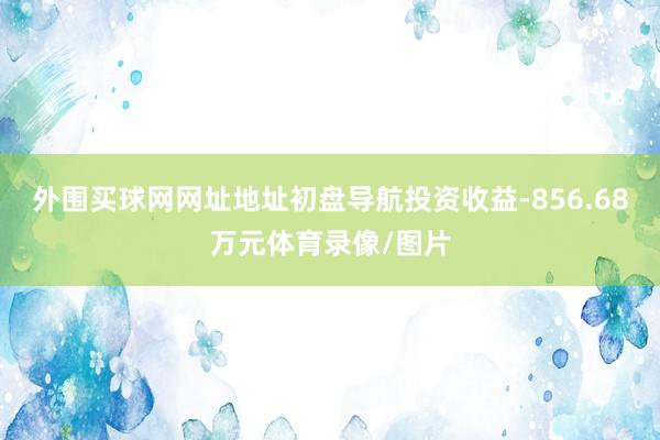 外围买球网网址地址初盘导航投资收益-856.68万元体育录像/图片