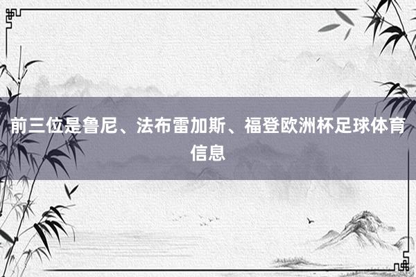 前三位是鲁尼、法布雷加斯、福登欧洲杯足球体育信息