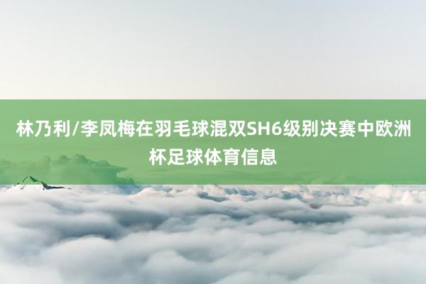 林乃利/李凤梅在羽毛球混双SH6级别决赛中欧洲杯足球体育信息