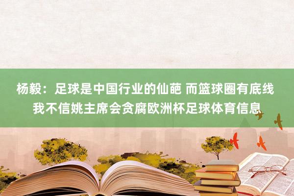 杨毅：足球是中国行业的仙葩 而篮球圈有底线 我不信姚主席会贪腐欧洲杯足球体育信息