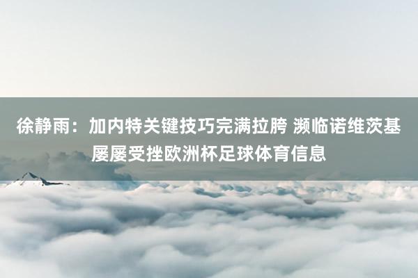 徐静雨：加内特关键技巧完满拉胯 濒临诺维茨基屡屡受挫欧洲杯足球体育信息