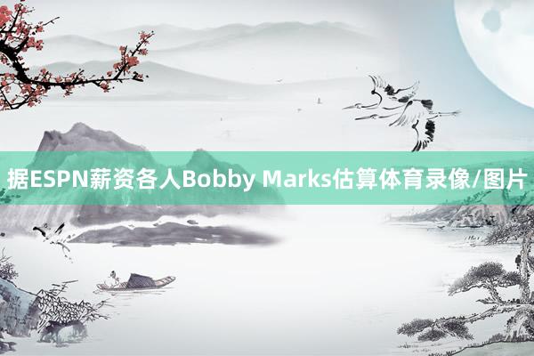 据ESPN薪资各人Bobby Marks估算体育录像/图片