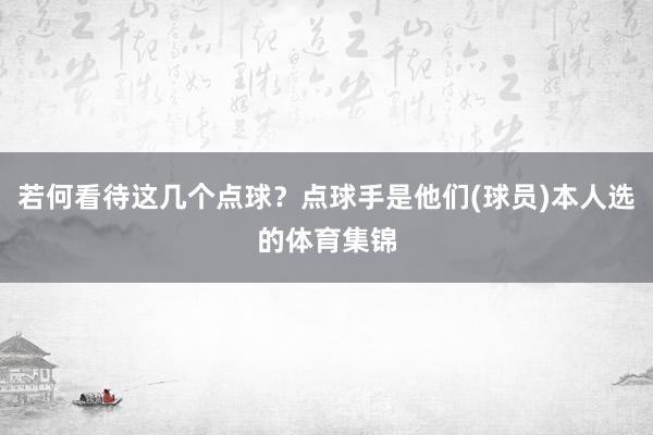 若何看待这几个点球？点球手是他们(球员)本人选的体育集锦