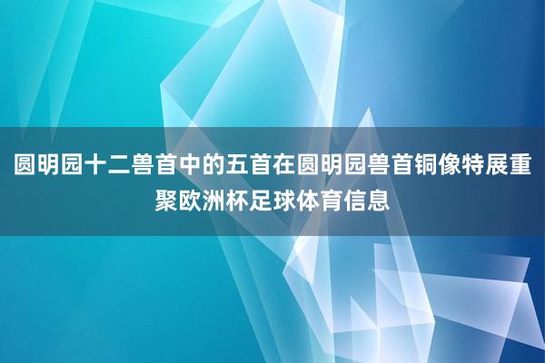 圆明园十二兽首中的五首在圆明园兽首铜像特展重聚欧洲杯足球体育信息