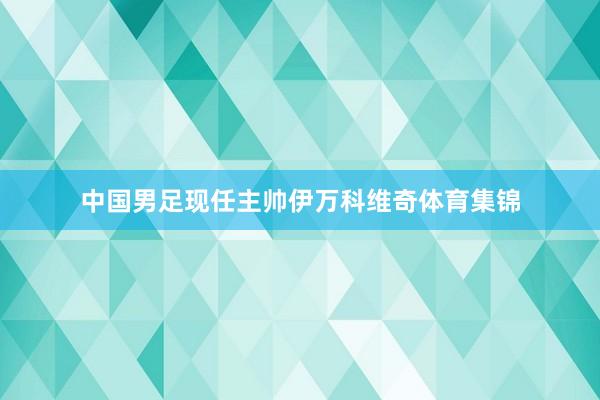 中国男足现任主帅伊万科维奇体育集锦