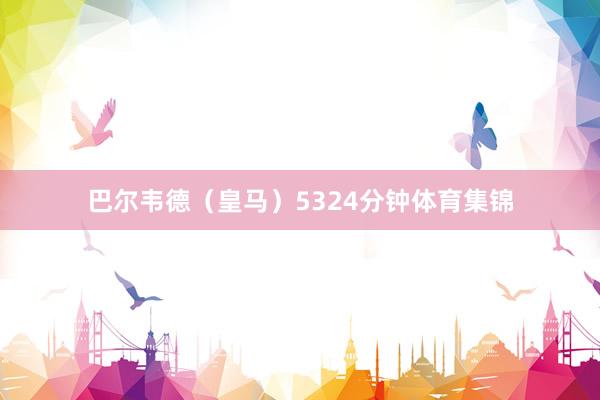 巴尔韦德（皇马）5324分钟体育集锦