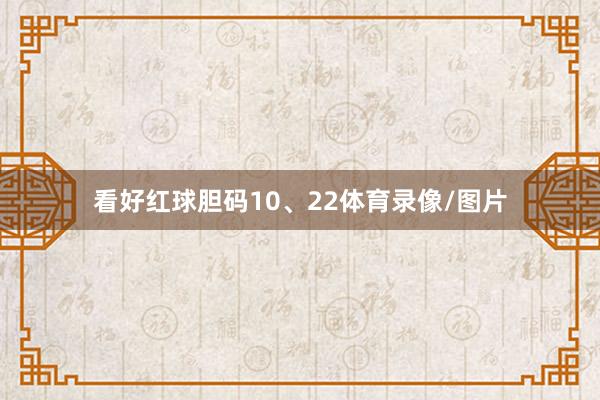 看好红球胆码10、22体育录像/图片