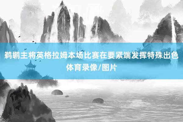 鹈鹕主将英格拉姆本场比赛在要紧端发挥特殊出色体育录像/图片